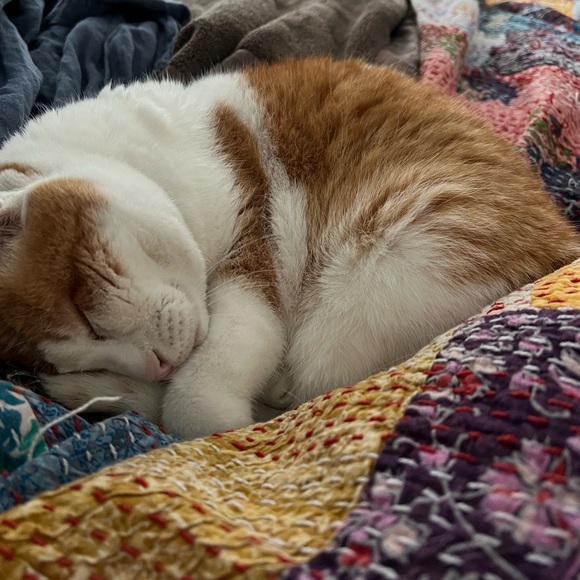 Meet your Posher, Kristy - Picture 5 of 14